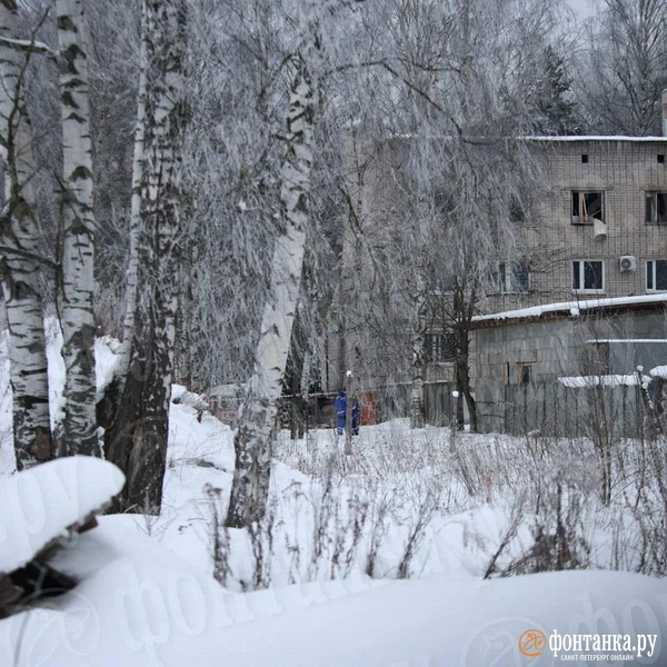 Источник: Валентин Егоршин / «Фонтанка.ру»