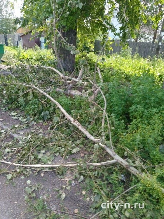 Проблема несанкционированного захламления придомовых территорий остаётся актуальной уже не первый год | Источник: www.city-n.ru