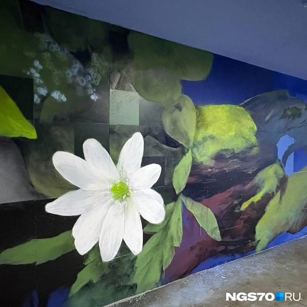 Источник: Мария Лобанова / NGS70.RU