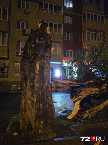 Источник: читатель 72.RU