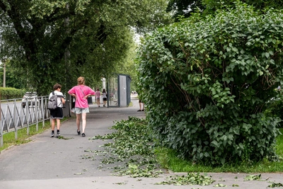 Август в Прикамье будет прохладным — прогноз Андрея Шихова