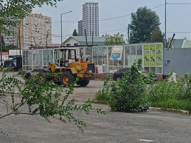 А вы когда-нибудь покупали товары на «Южном»? | Источник: читатель 72.RU