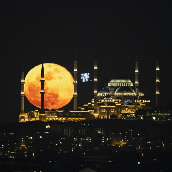 Турция, Стамбул | Источник: Muhammed Enes Yildirim/Anadolu via Getty Images