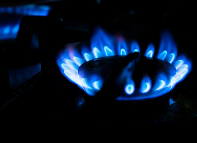В Петербурге мать наказала детей, опалив им руки на газовой плите | ya62.ru