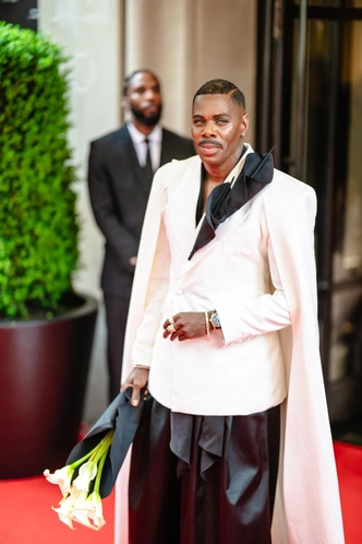 Met Gala: суть, тема 2025 и все, что нужно знать о модном бале | Источник: Legion Media