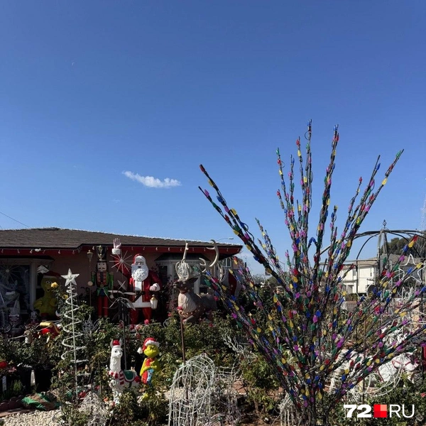 А тут не поскупились на украшение двора | Источник: Читатель 72.RU