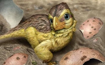 Скорлупа яиц динозавров изменит взгляд на глубокое прошлое: она поможет определить возраст всех окаменелостей