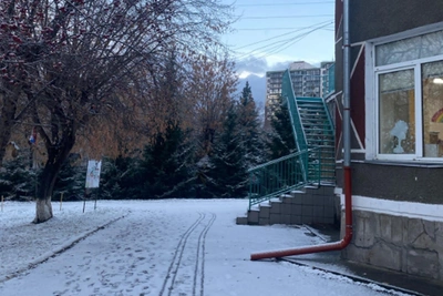 Проверка РЖД не нашла подтверждений побоям в детсаду Красноярска