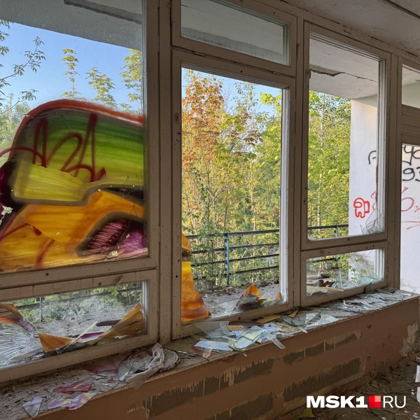 Источник: Алина Мельникова / MSK1.RU