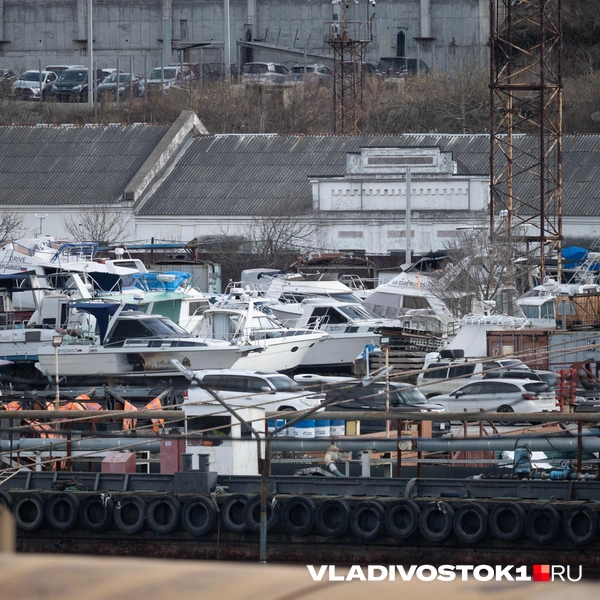 Источник: Елена Буйвол / VLADIVOSTOK1.RU