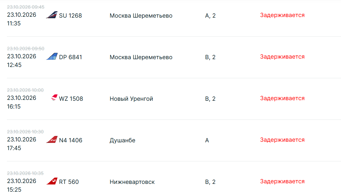 Задержаны больше 50 рейсов: аэропорт Казани возобновил работу после ночных ограничений