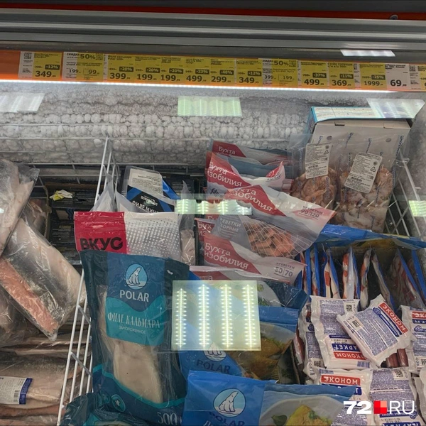 Источник: Никита Кифорук / 72.RU