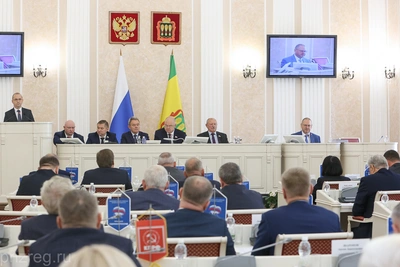 Депутаты поддержали инвестсоглашение по птицеводству