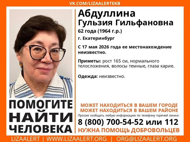 Присмотритесь к снимку, может, вы видели похожую женщину недавно | Источник: «ЛизаАлерт»