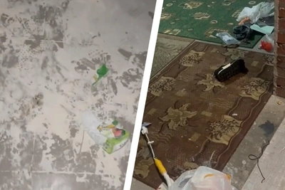 В новосибирской многоэтажке соседи терроризируют жильцов