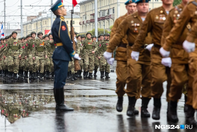 Плавный переход от песочного к болотному | Источник: Мария Ленц / NGS24.RU