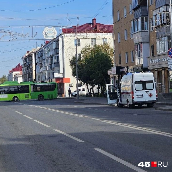 Источник: Дарья Никитченко / 45.RU