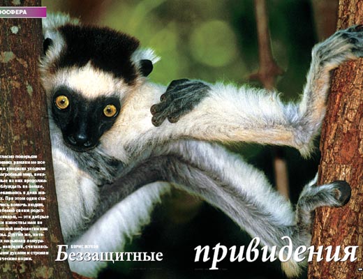 Фото №1 - Беззащитные привидения