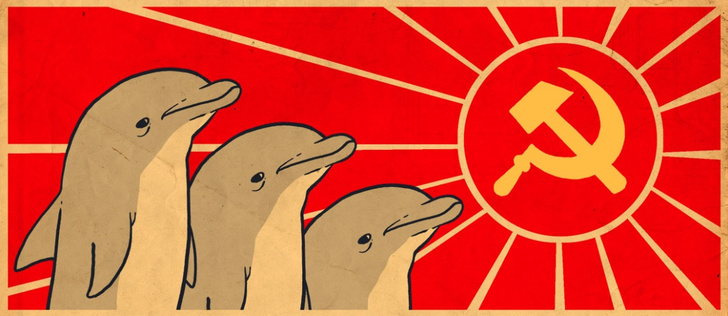 Советско-иранские боевые дельфины взбудоражили Интернет