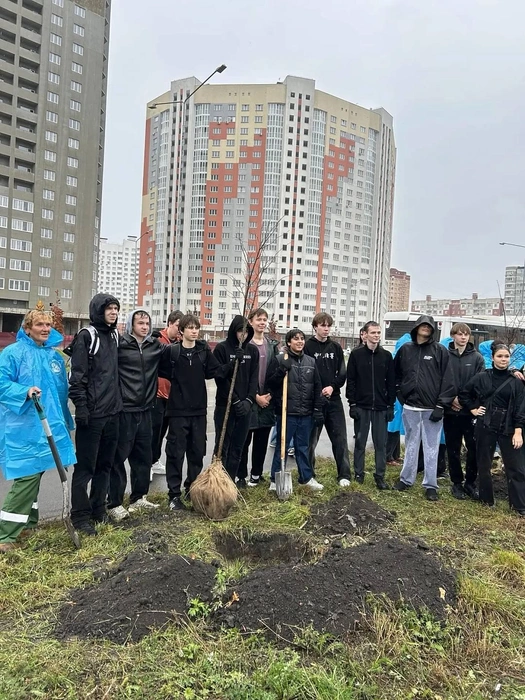 Источник: lipetskcity.ru