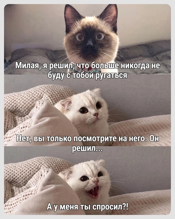 Мог бы и догадаться! | Источник: Городские медиа