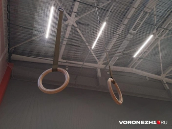 Источник: Дмитрий Волгин / Voronezh1.ru