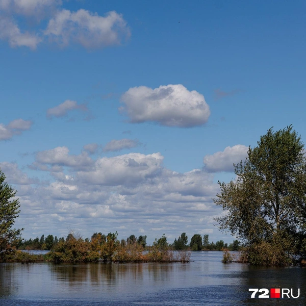 Источник: Ирина Шарова / 72.RU
