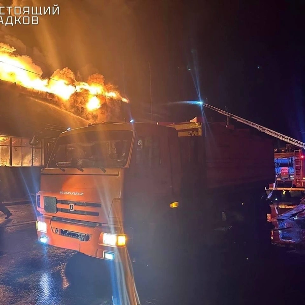 Источник: «Настоящий Гладков» / Telegram