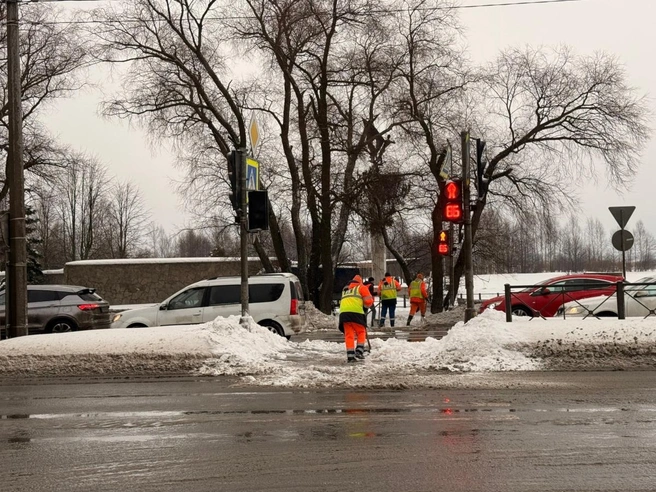 Источник: Комитет по благоустройству Петербурга