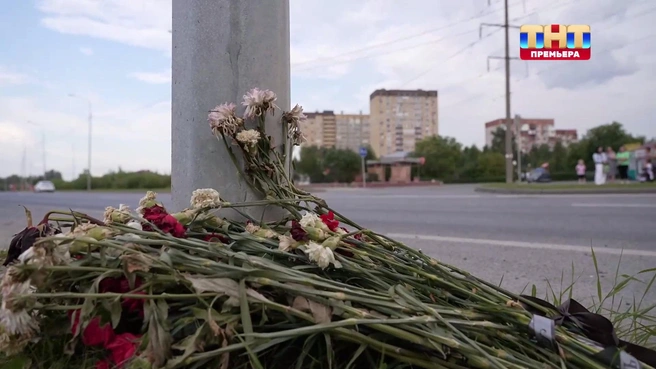 В августе здесь были цветы  | Источник: ТНТ