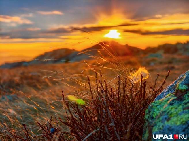 Местная природа довольно скудна | Источник: Булат Салихов / UFA1.RU