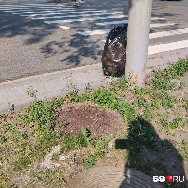 Тот же перекресток. Но в ямку уже вернули ту же мусорку | Источник: Ольга Якунчева / 59.RU