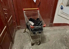 Пенсионер убил и расчленил модель Антонину Сергееву, которая сдавала ему квартиру в Петербурге