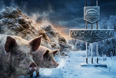 Директора музея обвинили в зловонном свиноводстве