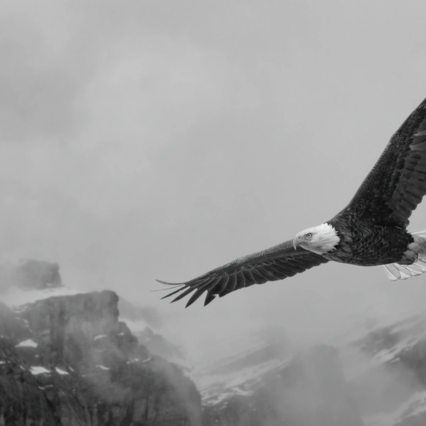 Источник: Jason Marino / Exposure One Awards 2025