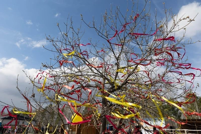 День Дарьи Римской 1 апреля: народные приметы и запреты