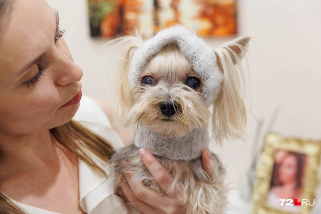 Красотка Одри обожает наряжаться. Поэтому с радостью позировала в вязаной шапочке. Ей идет? | Источник: Ирина Шарова / 72.RU