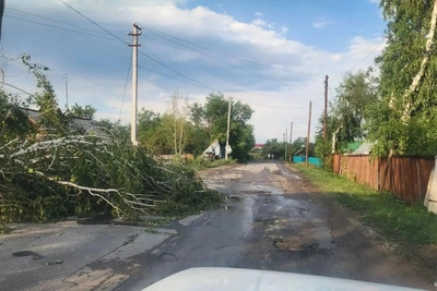 Ураган в Алтайском крае: сорванные крыши и поваленные деревья