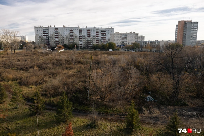 Если смотреть с автомобильных мостов, то это чистое поле с типичными панельками вдали | Источник: Наталья Лапцевич