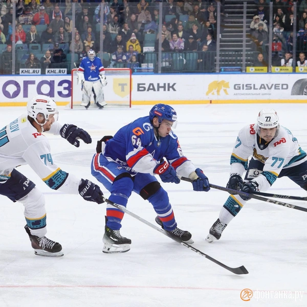 Источник: Сергей Михайличенко / «Фонтанка.ру»