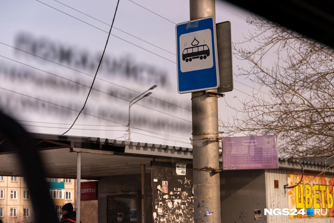 Детям нужна помощь в простых вещах — например, разобраться, как пользоваться общественным транспортом | Источник: Мария Ленц / NGS24.RU