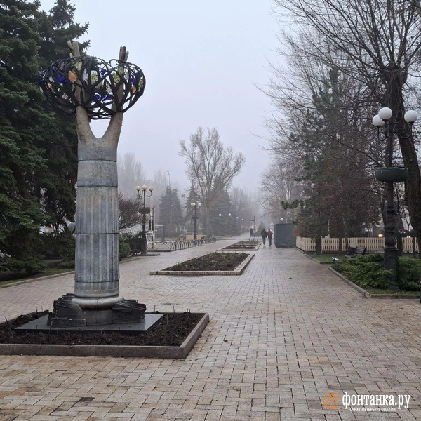 Источник: Ирина Багликова / FONTANKA.RU