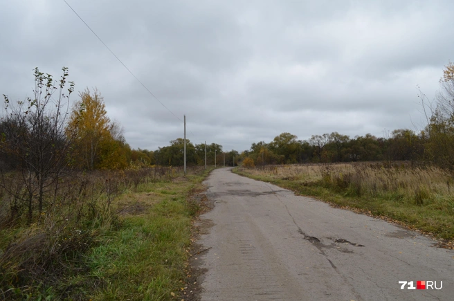 Жители просили поставить освещение хотя бы на этой, «центральной улице», но фонарей нет до сих пор | Источник: Максим Улитов / 71.RU