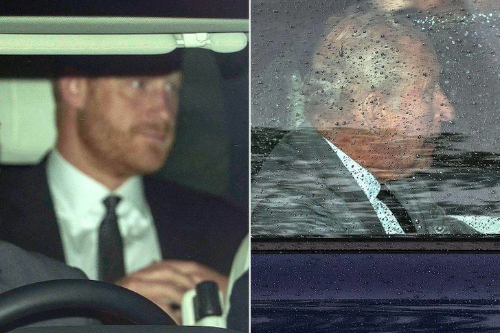 Принц Гарри и король Карл 10 сентября | marieclaire.kz