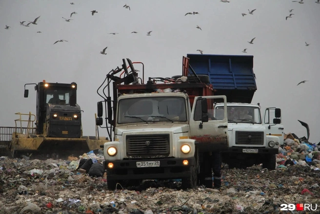 Мусор, который нельзя переработать, останется в Коряжме | Источник: Сергей Яковлев