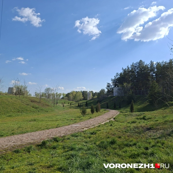 Источник: Алёна Воропаева / Voronezh1.ru