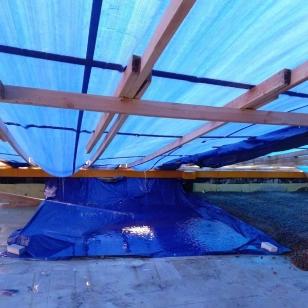 Источник: presseco / t.me
