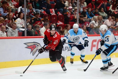 Волков выведен из списка травмированных в «Авангарде»