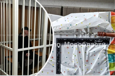 Убийство друга шампуром: жителю Подмосковья дали 6 лет колонии