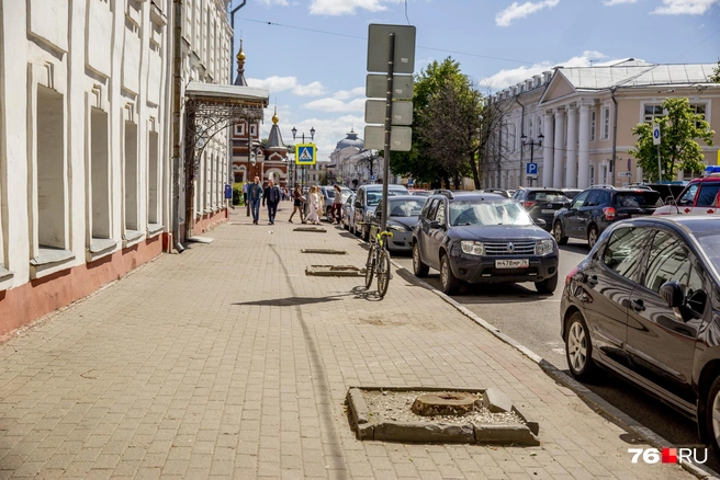 Полоса деревьев не только останавливает распространение всех типов загрязнений, но и закрывает неприглядные виды | Источник: Александра Савельева